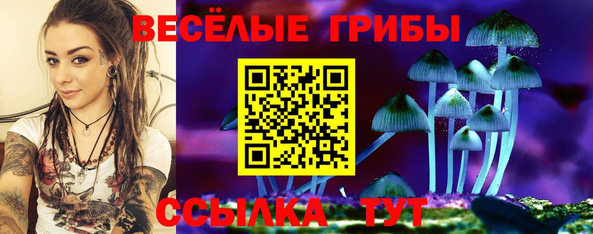 Псилоцибиновые грибы прущие грибы  Вход с VPN  Вятские Поляны  Псилоцибиновые грибы GOLDEN TEACHER 